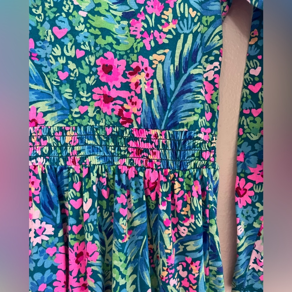 Lilly Pulitzer Dress - Picture 6 of 7